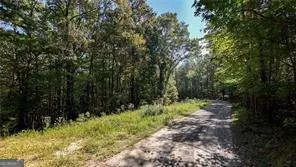 925 Arrow Trail, Waleska, GA 30183 - Image #2