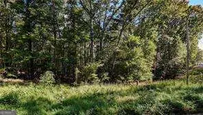 925 Arrow Trail, Waleska, GA 30183 - Image #3