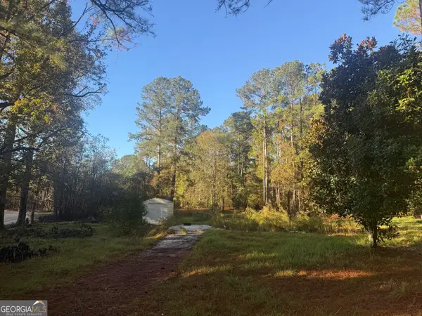 201 Waters Grove Road, Sylvania, GA 30467