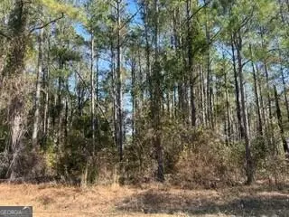 241 Valhalla Road #LOT 3, Cordele, GA 31015