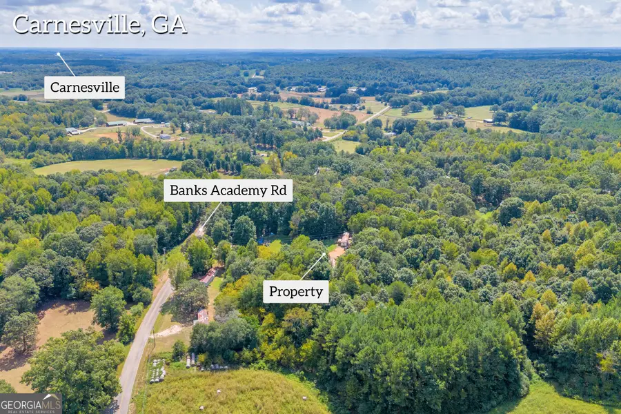 0 Banks Academy Road, Carnesville, GA 30521 - Image #2