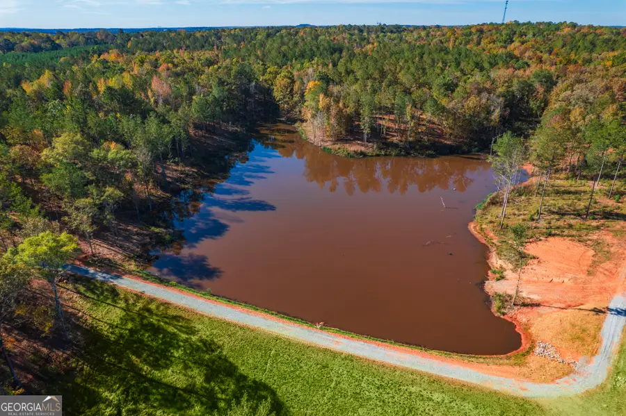 0 Old Dames Ferry Road, Juliette, GA 31046 - Image #2