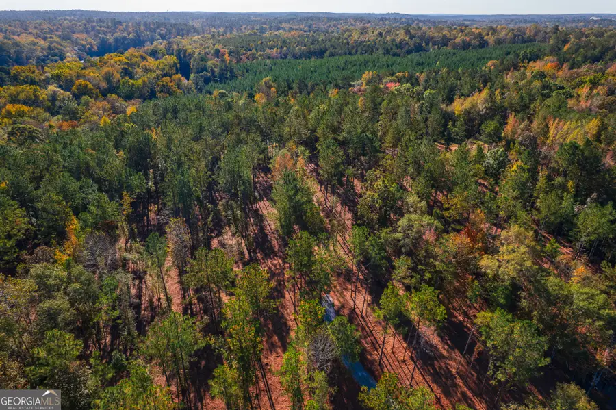 0 Old Dames Ferry Road, Juliette, GA 31046 - Image #3