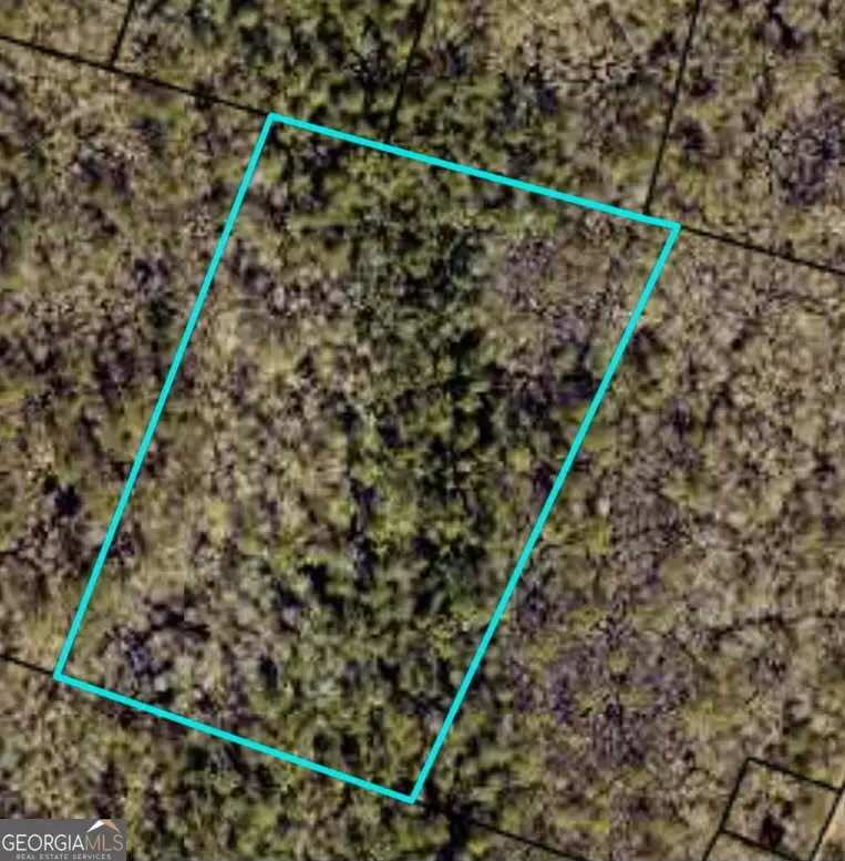 V/L PORT OF JAC V/l Port Of Jack Whitaker Est, Woodbine, GA 31569 - Image #1