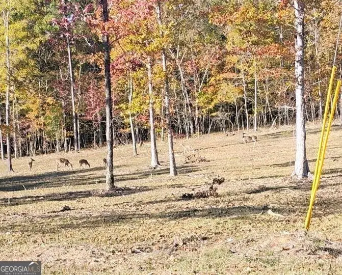 0 Melson, Cave Spring, GA 30124 - #3