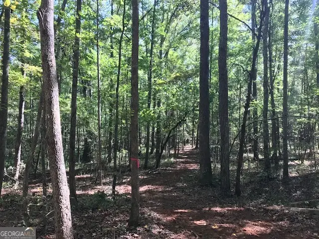 189 & 191 W Plantation Drive, Newnan, GA 30263 - Image #3