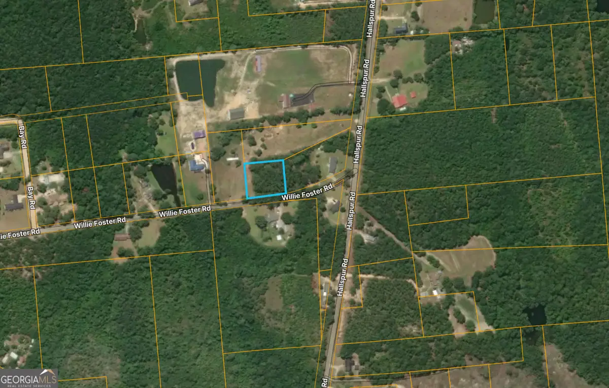 0 Willie Foster Road, Hazlehurst, GA 31539 - Image #1