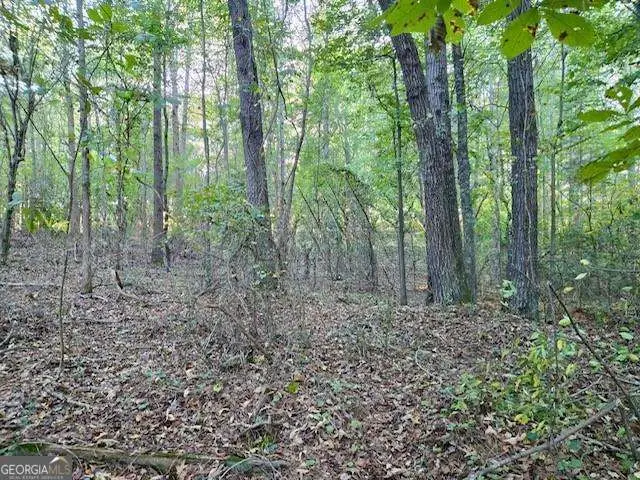 0 Hurt Bridge Road #LOT 1, Cumming, GA 30028 - Image #2