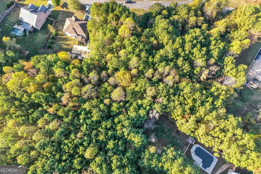 115 Hickory Creek Lane, Acworth, GA 30101 - Image #3