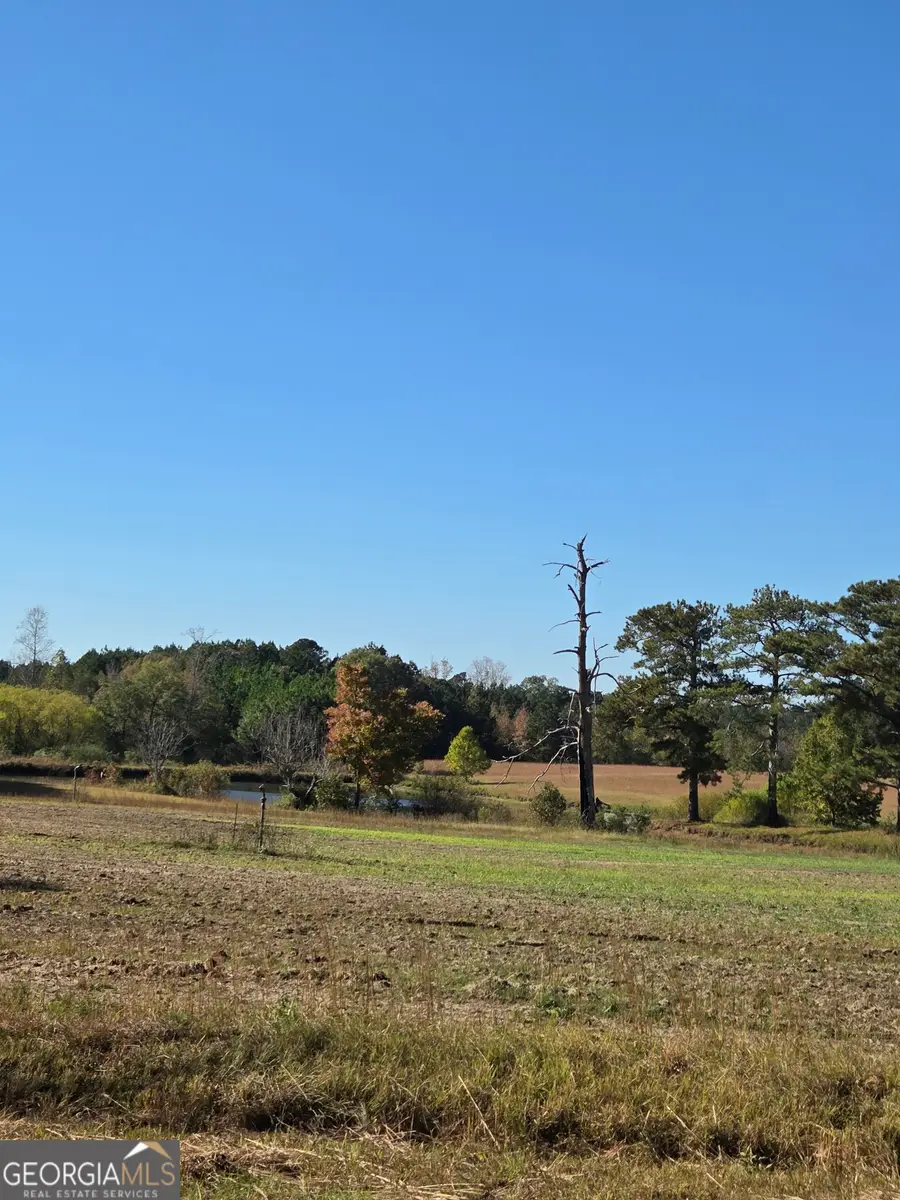 50 AC Mount Carmel Road, Senoia, GA 30276 - Image #3