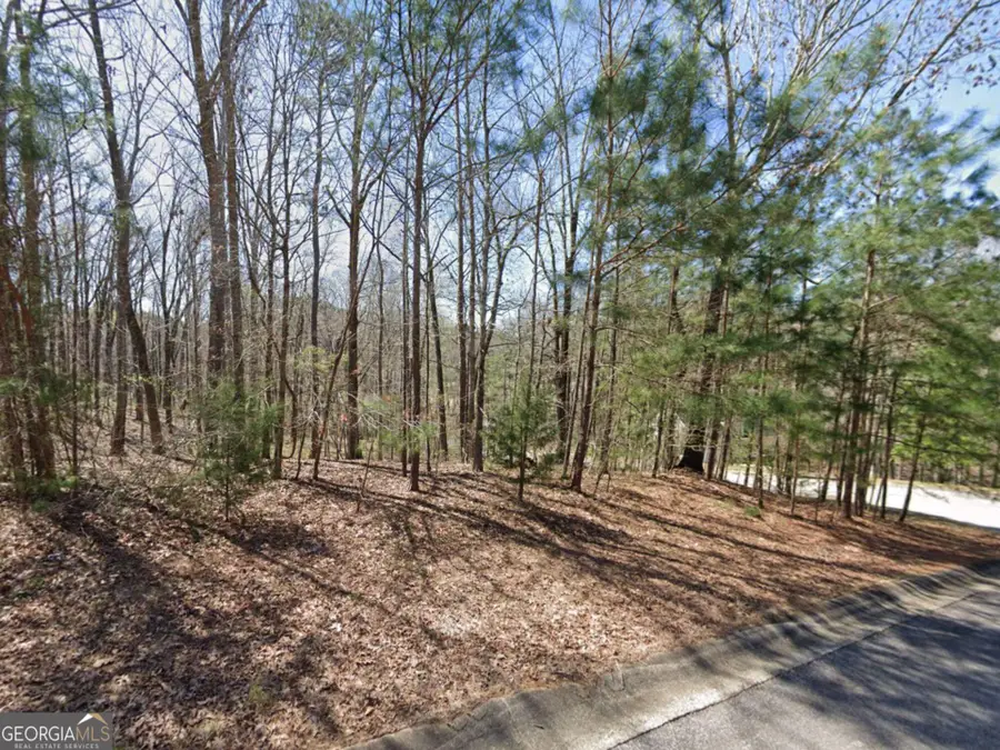 104 Hidden Branches Lane, Lagrange, GA 30240 - Image #2