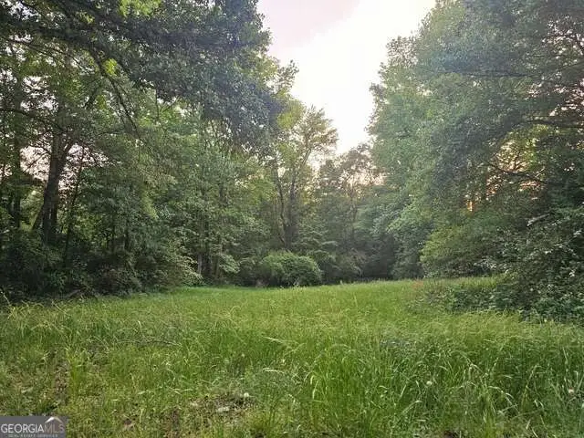 0 Huff Road #TRACT 1, Roopville, GA 30170 - #1