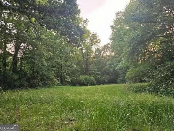 0 Huff Road #TRACT 1, Roopville, GA 30170