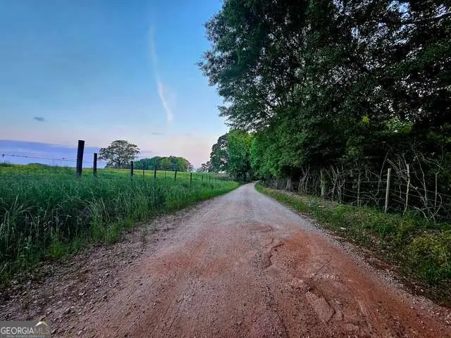 0 Huff Road #TRACT 1, Roopville, GA 30170 - #2