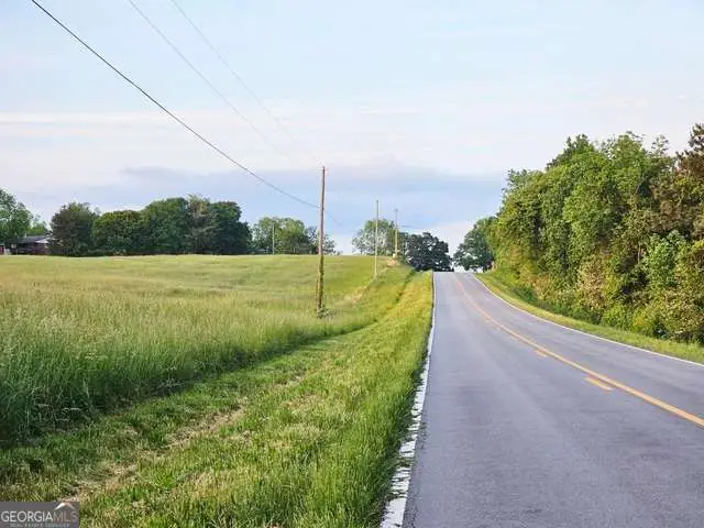 0 Welcome Road #TRACT 3, Roopville, GA 30170 - #2