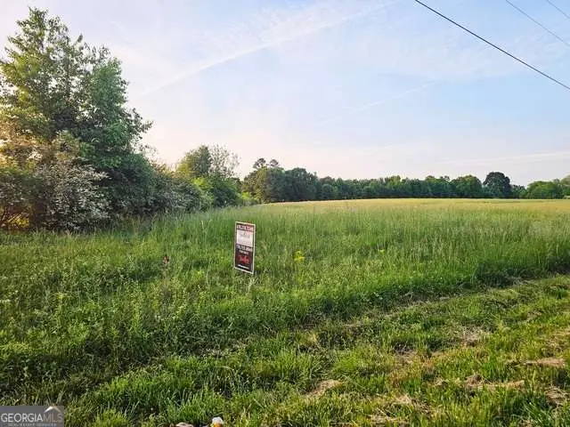 0 Welcome Road #TRACT 3, Roopville, GA 30170 - #3