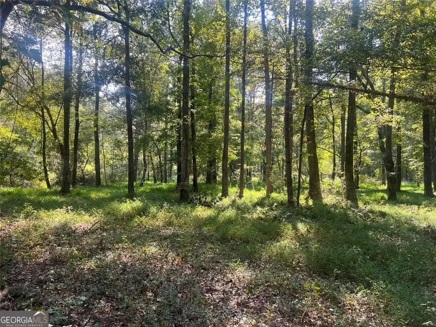 0 Burfordi Drive, Marietta, GA 30008 - Image #2