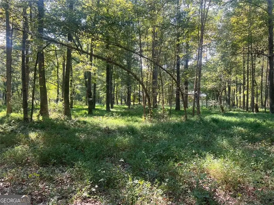 0 Burfordi Drive, Marietta, GA 30008 - Image #3