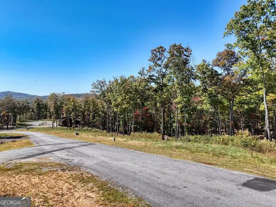 90 Split Creek Road #90, Morganton, GA 30560 - Image #2