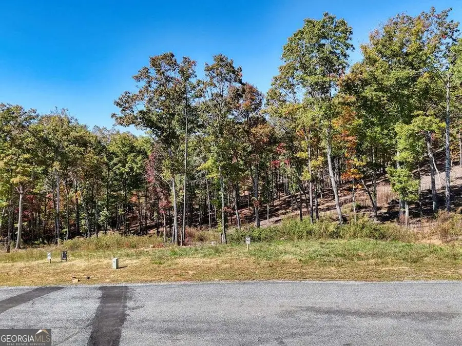 90 Split Creek Road #90, Morganton, GA 30560 - Image #3
