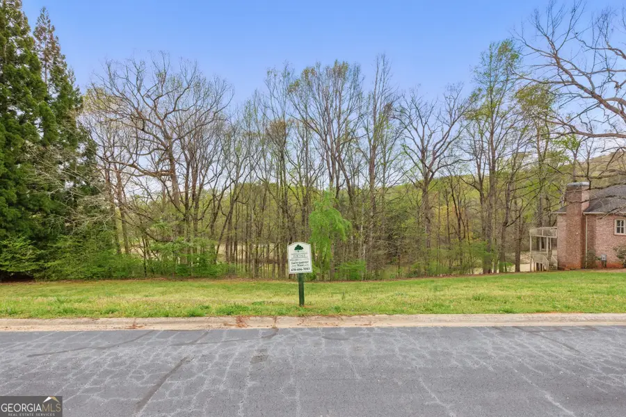 0 Granny Smith Circle, Clarkesville, GA 30523 - Image #3