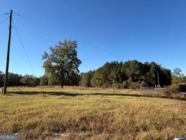 401 Sanders Cemetary Road, Chauncey, GA 31011