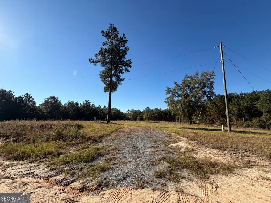 401 Sanders Cemetary Road, Chauncey, GA 31011 - Image #3