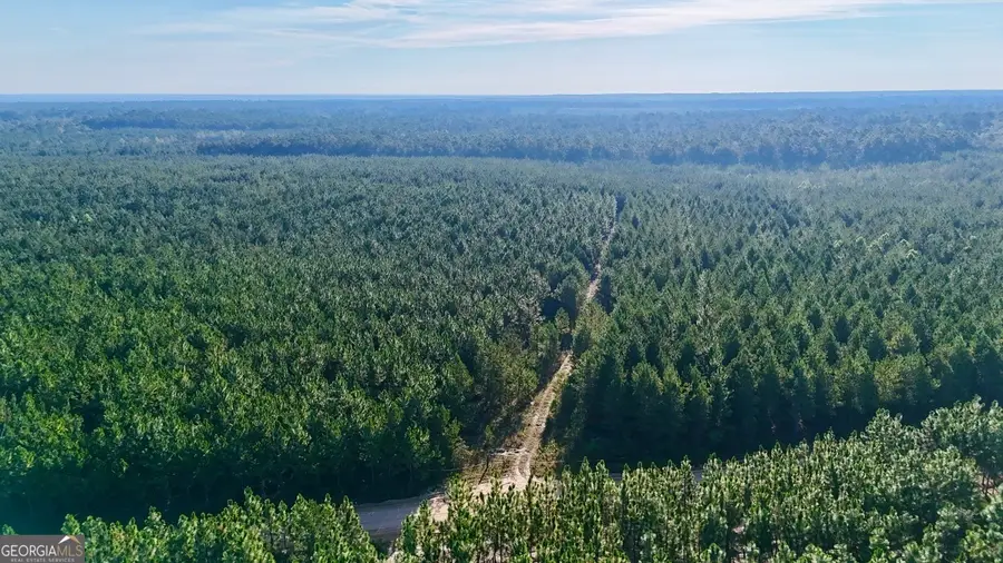 0 Penny Morris Road, Baxley, GA 31513 - Image #3