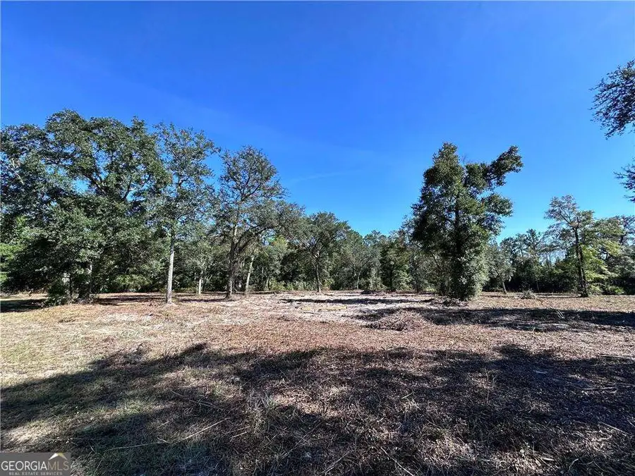 139 Satilla Sands Drive, Waynesville, GA 31566 - Image #2