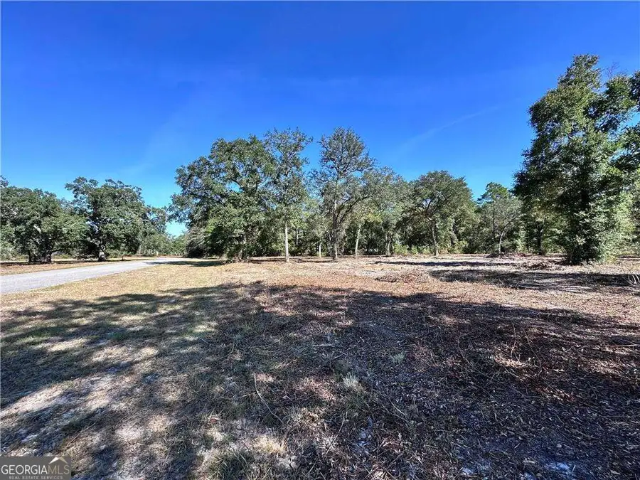 139 Satilla Sands Drive, Waynesville, GA 31566 - Image #3