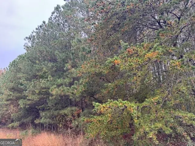 0 Moran Lake Road, Rome, GA 30165 - Image #2