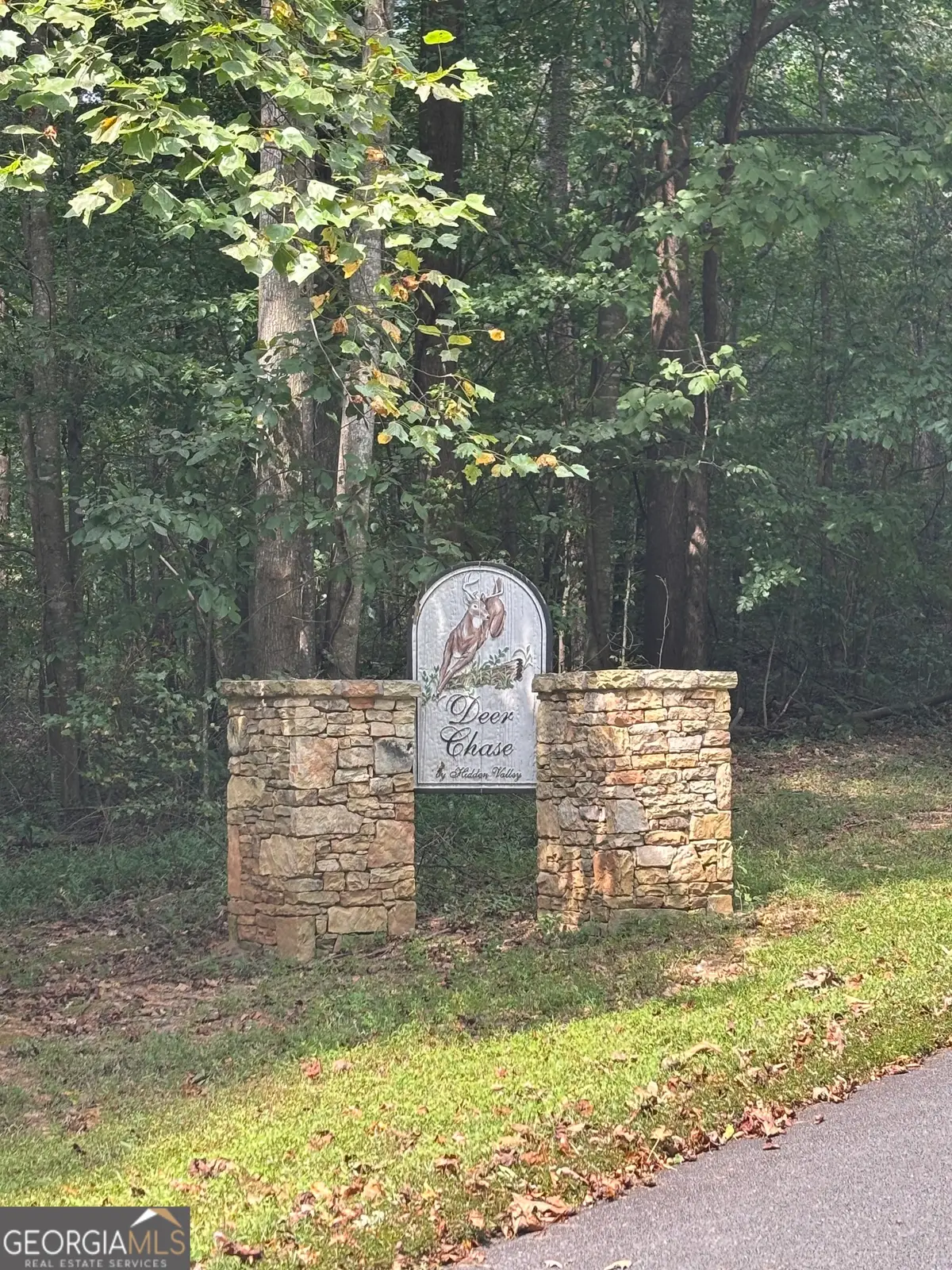 535 Deer Chase Road, Toccoa, GA 30577 - Image #1