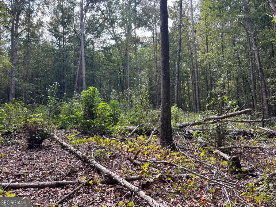 535 Deer Chase Road, Toccoa, GA 30577 - Image #3