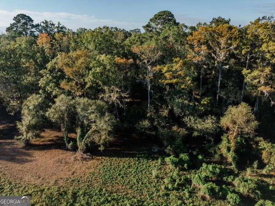 0 Eagles Point #LOT 8, Surrency, GA 31563 - Image #2