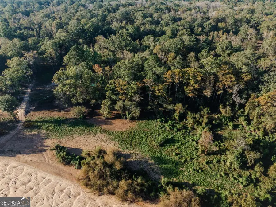 0 Eagles Point #LOT 8, Surrency, GA 31563 - Image #3