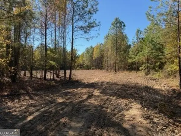 0 Netherland Road, Midville, GA 30441