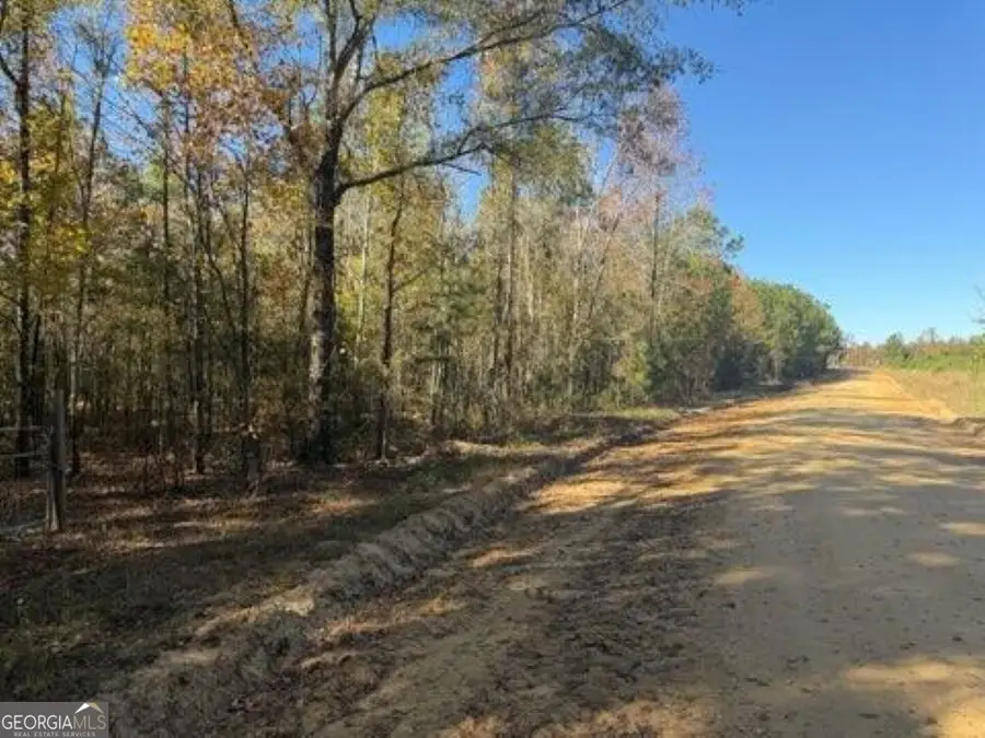 0 Netherland Road, Midville, GA 30441 - Image #2