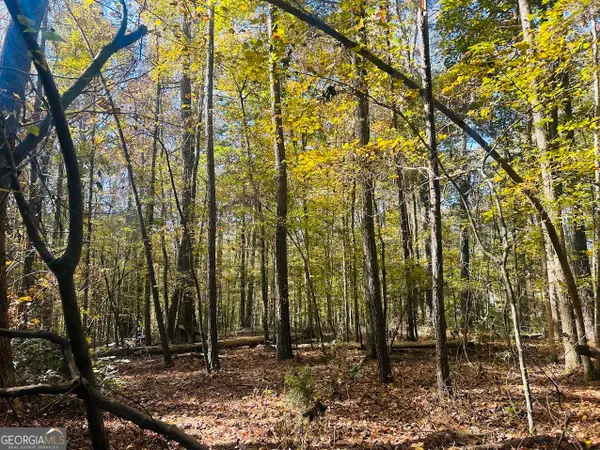 0 Stream View Drive #LOT 19, Conyers, GA 30013