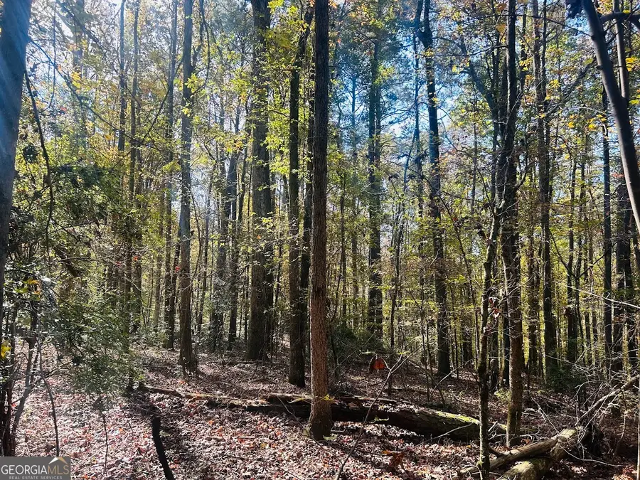 0 Stream View Drive #LOT 19, Conyers, GA 30013 - Image #2