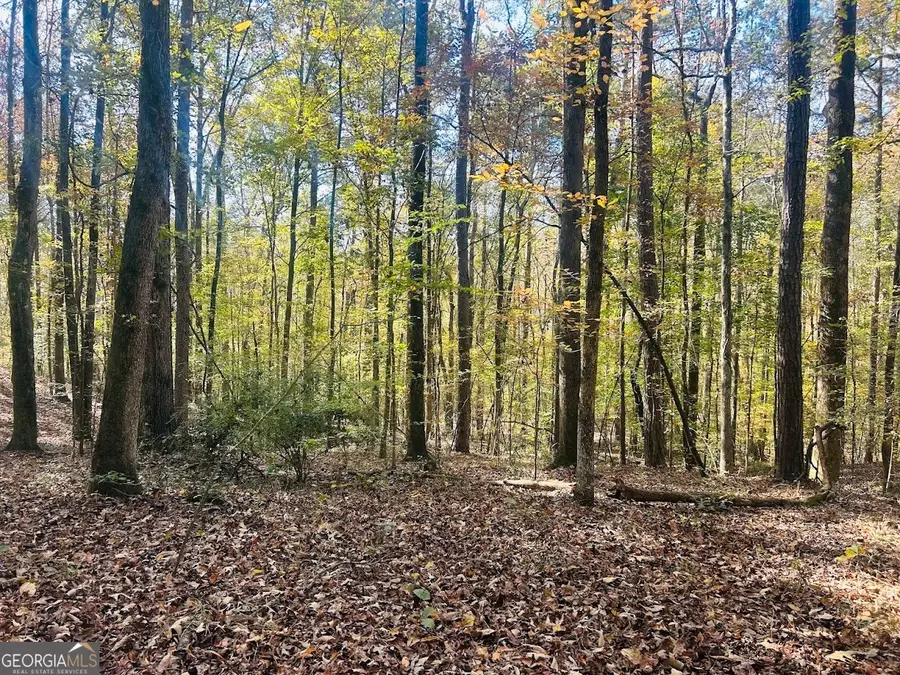 0 Stream View Drive #LOT 19, Conyers, GA 30013 - Image #3