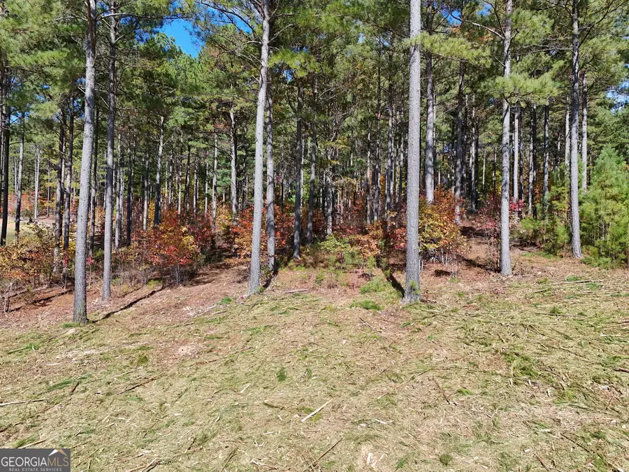 LOT168 Stables Loop, Blairsville, GA 30512 - Image #3