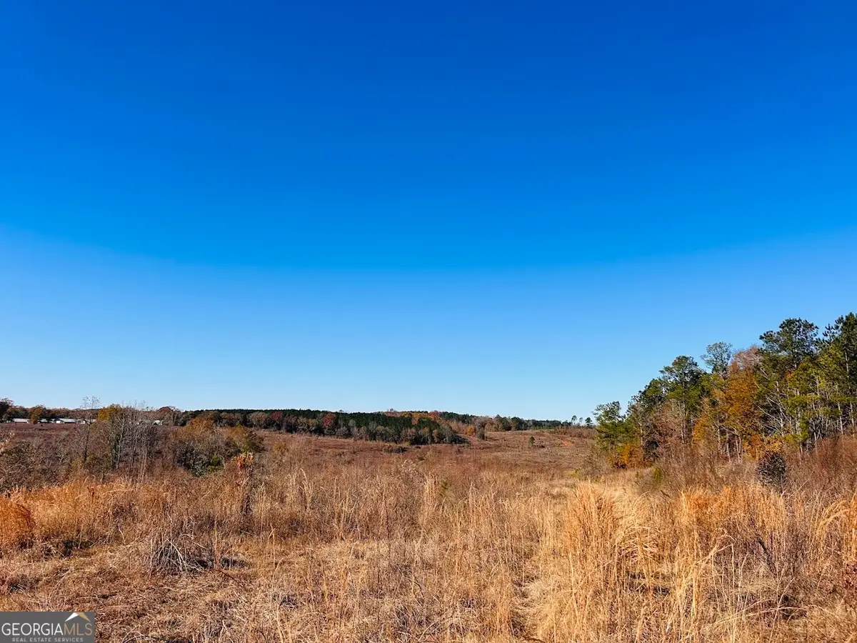 0 Jaye Road, Rupert, GA 31081 - Image #1