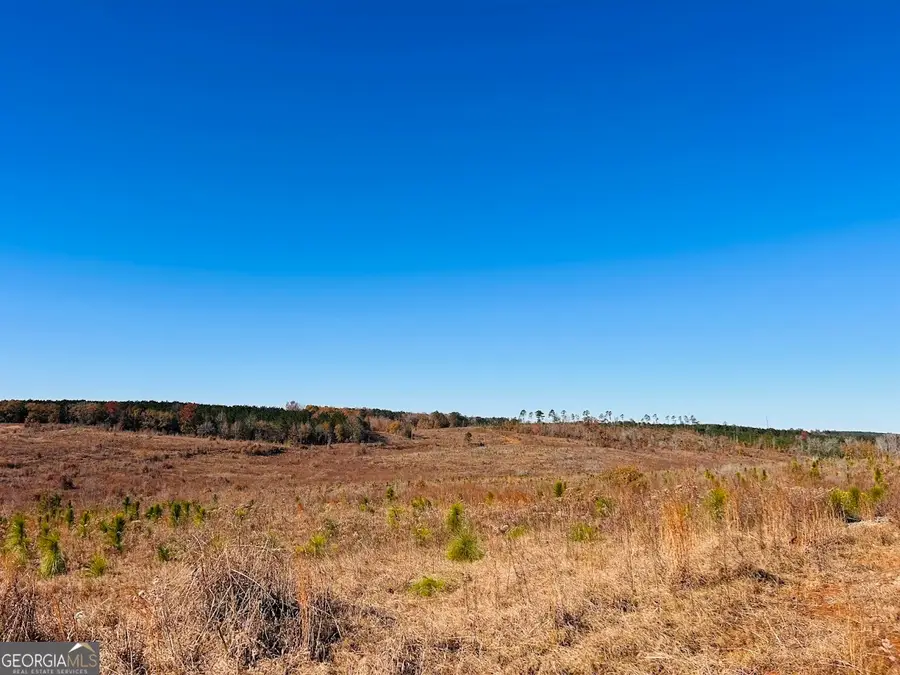 0 Jaye Road, Rupert, GA 31081 - Image #3