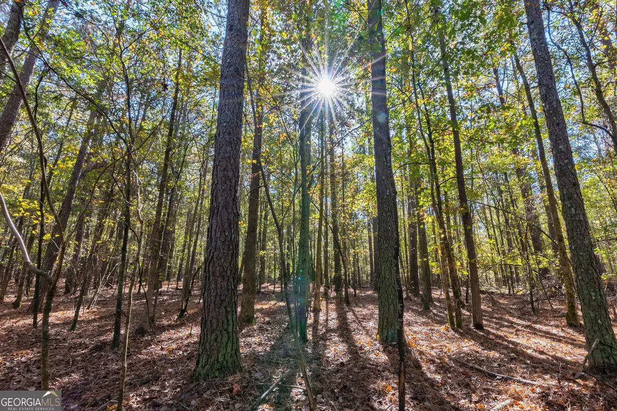 0 Wilson Lane, Arnoldsville, GA 30619 - Image #1