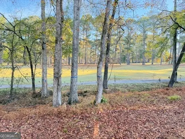 1175 Winged Foot Drive, Greensboro, GA 30642 - Image #2