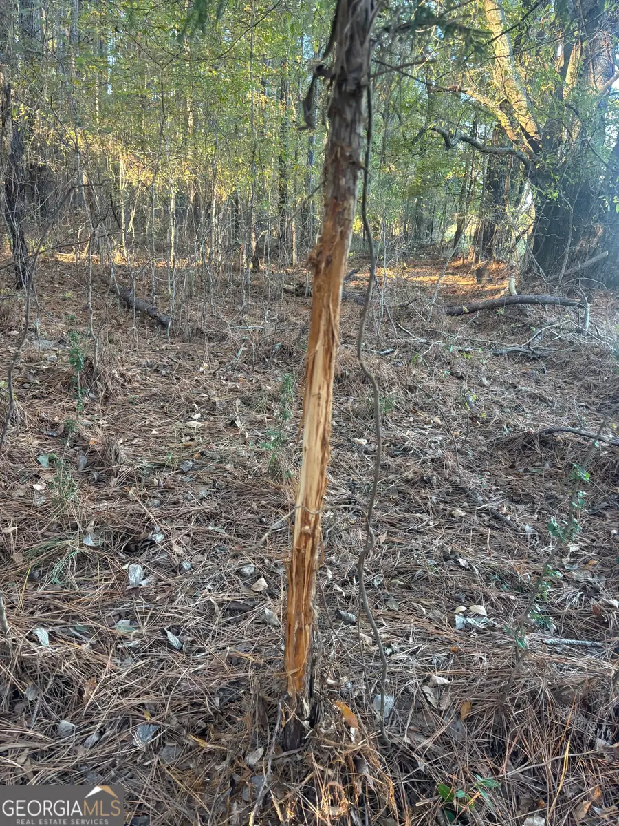 0 Vinson Road, Tignall, GA 30668 - Image #3