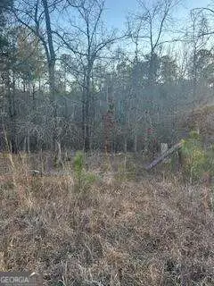 0 River Ridge Trail, Sparta, GA 31087