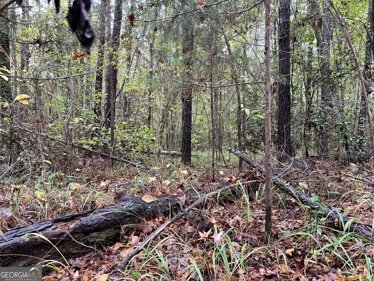 266 Clinton Crossing Drive, Gray, GA 31032 - Image #1