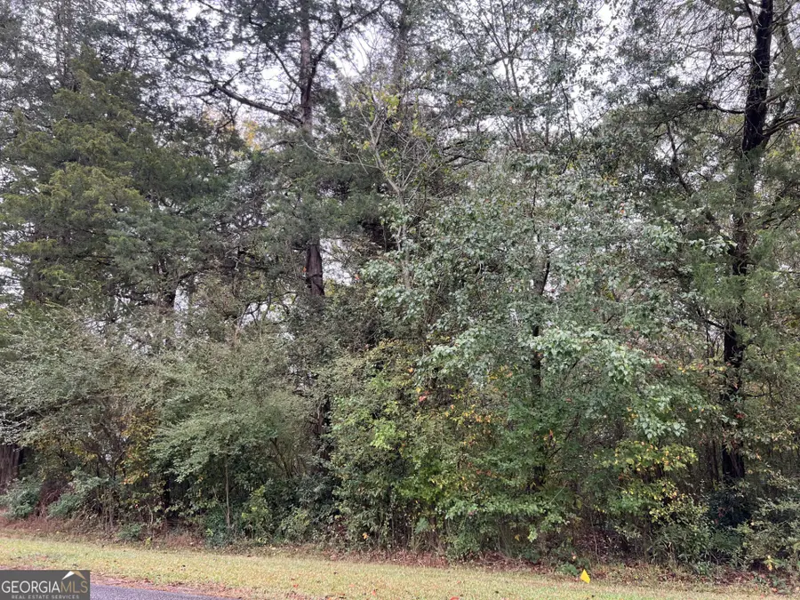 266 Clinton Crossing Drive, Gray, GA 31032 - Image #3