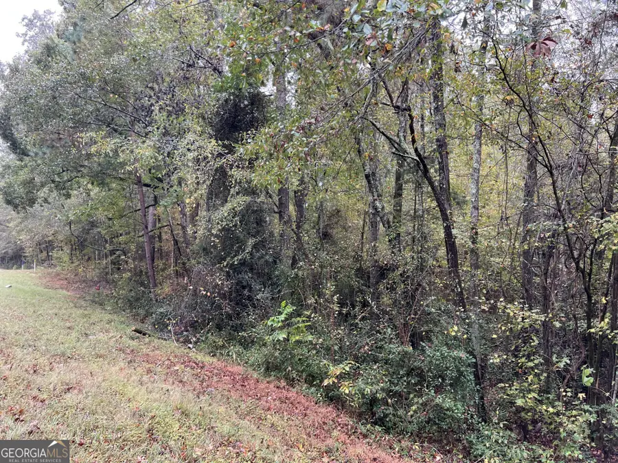 140 Lite N Tie Road, Gray, GA 31032 - Image #2